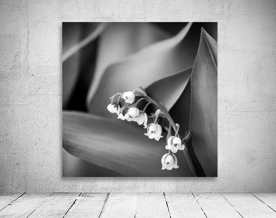 Weeping Blooms Wall Preview