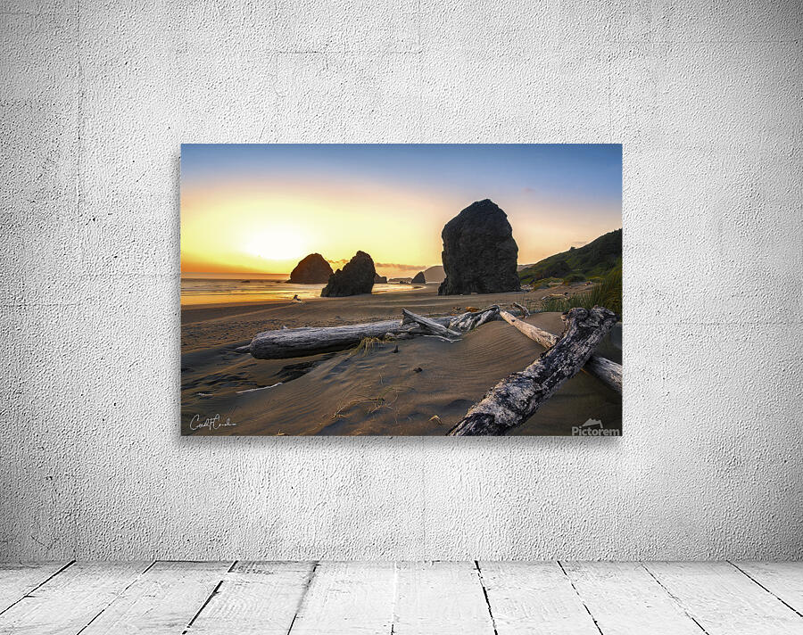 Coastal Serenity Wall Preview