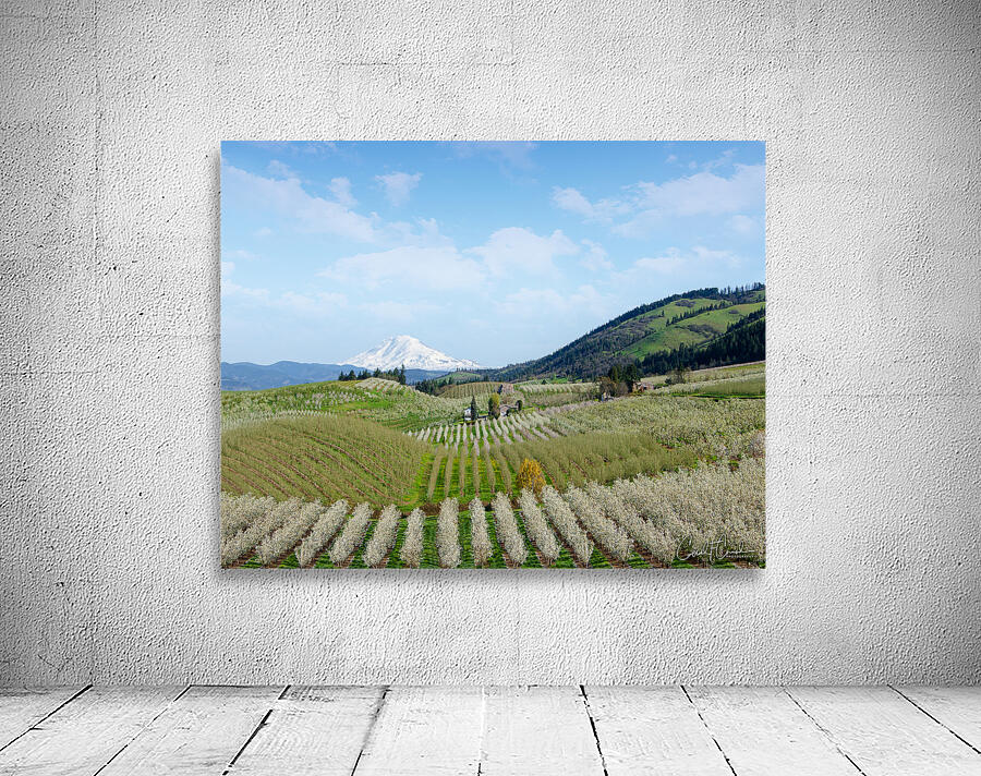 Harvest  Wall Preview
