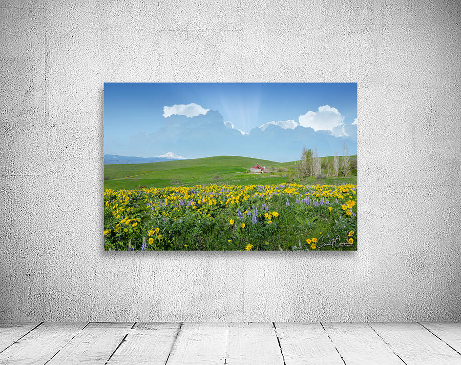 Wildflowers Wall Preview
