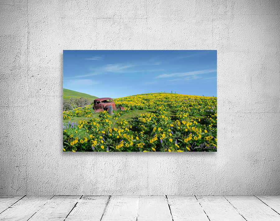 Sunny Wall Preview