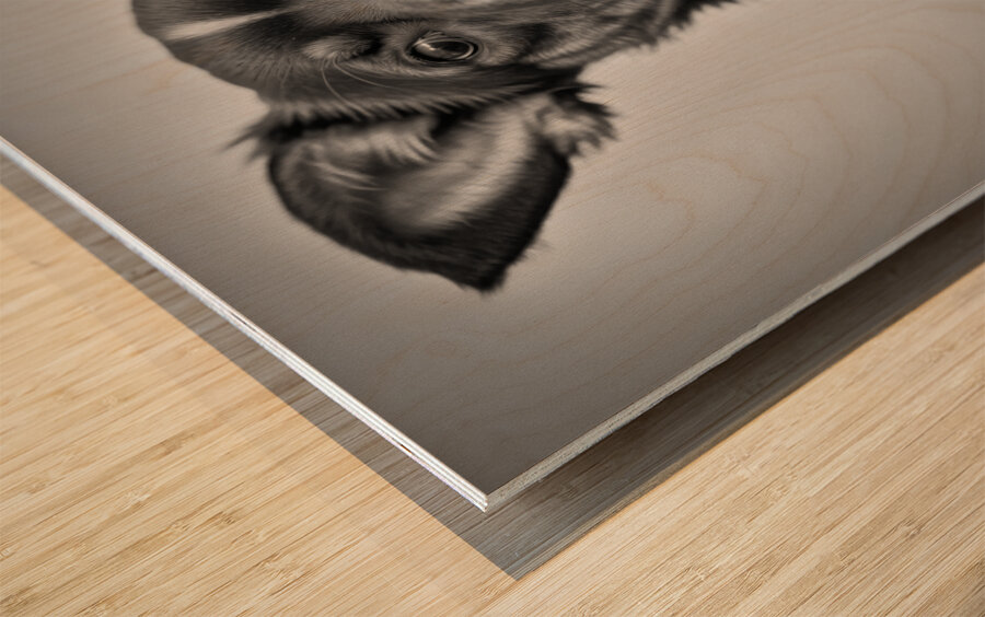 Perplexed Wood print