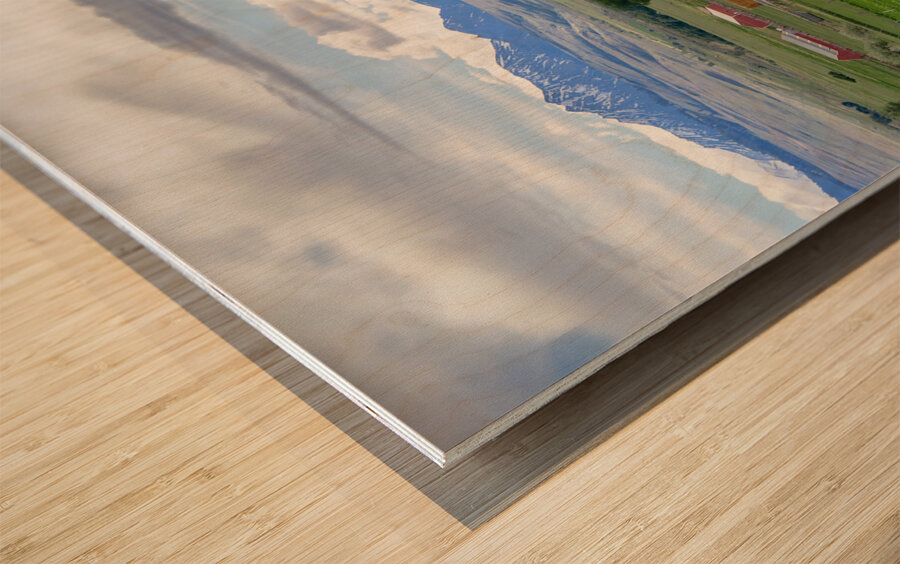 Farm Field Wood print