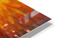 Full Bloom HD Metal print