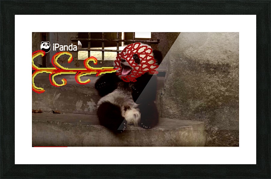 dragon pandalol Picture Frame print