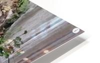 Captr HD Metal print