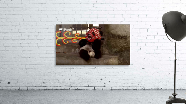 dragon pandalol Wall Preview