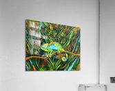 Karma Chameleon Acrylic Print