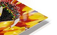 Gardeners Choice HD Metal print