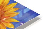 Flaxen Four HD Metal print
