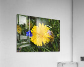 Les danseuses Acrylic Print