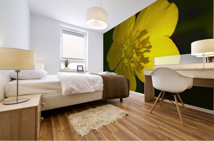 Bouton dOr Mural print