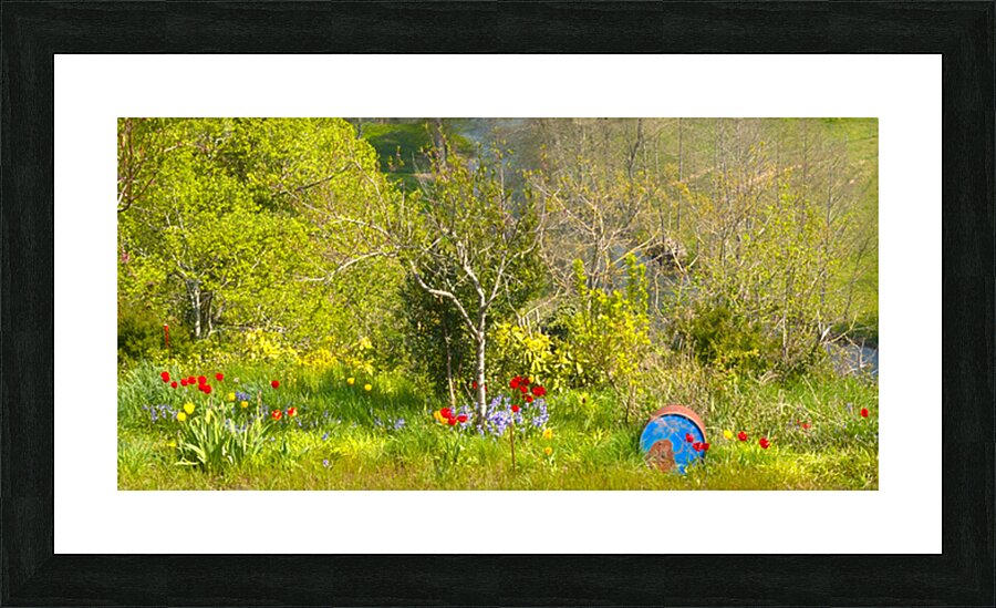 Bidon des sens Picture Frame print
