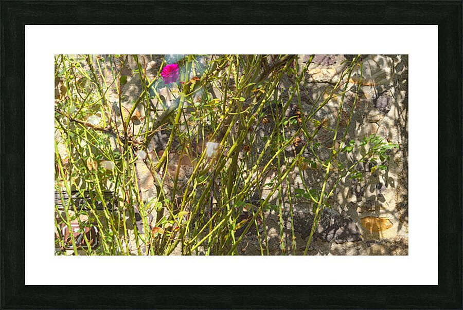 Au n°7 Picture Frame print