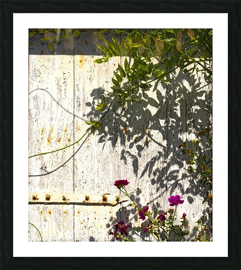 Au n°7 Picture Frame print