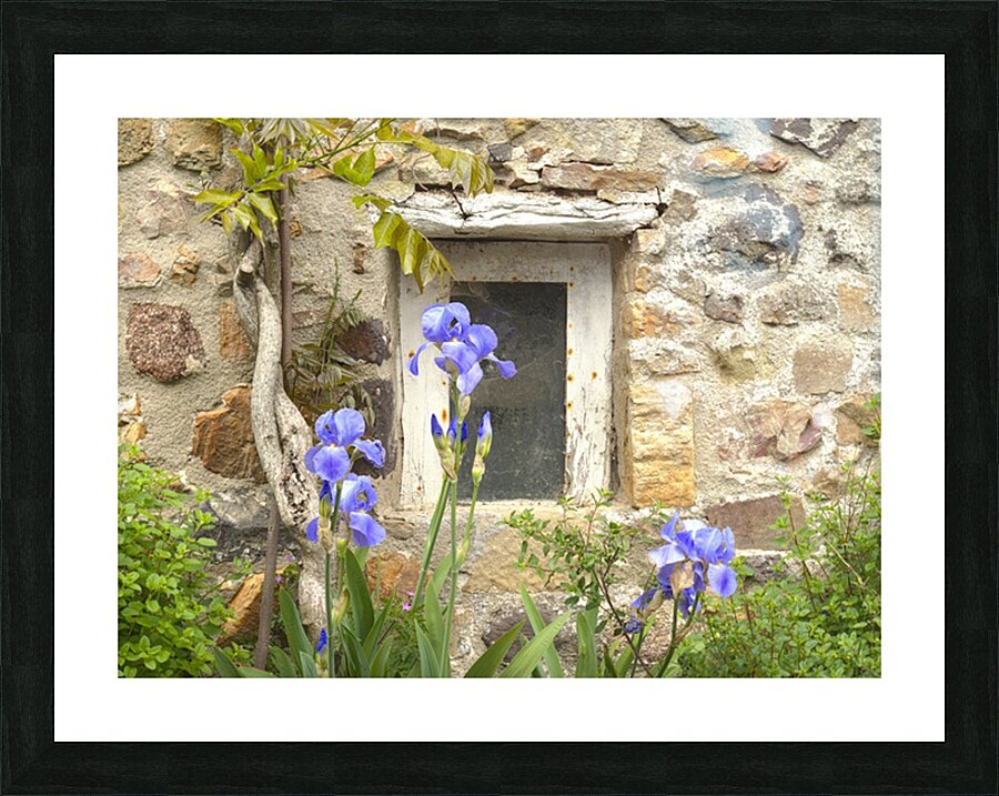 Au n°7 Picture Frame print