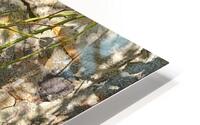 Au n°7 HD Metal print