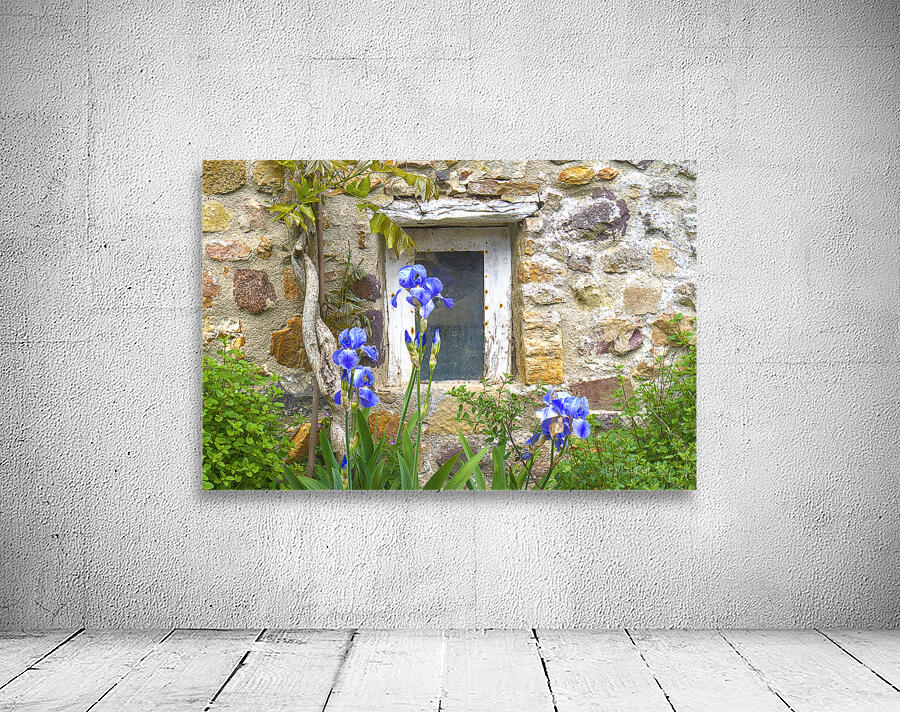 Au n°7 Wall Preview