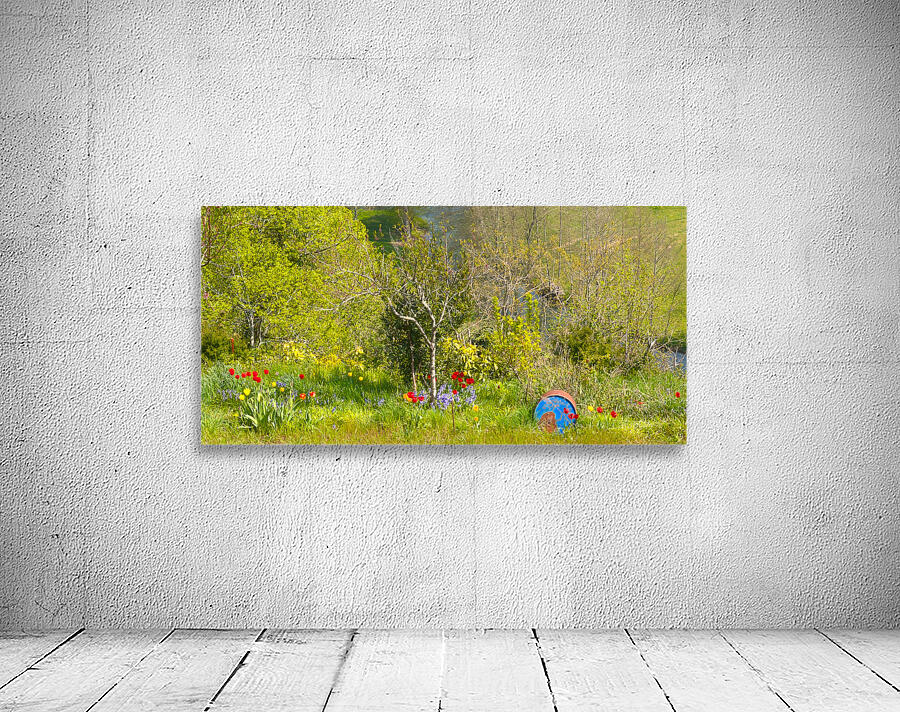 Bidon des sens Wall Preview