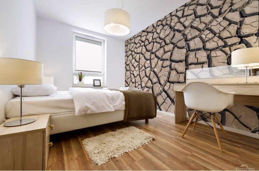  cracked clay soil Mural print