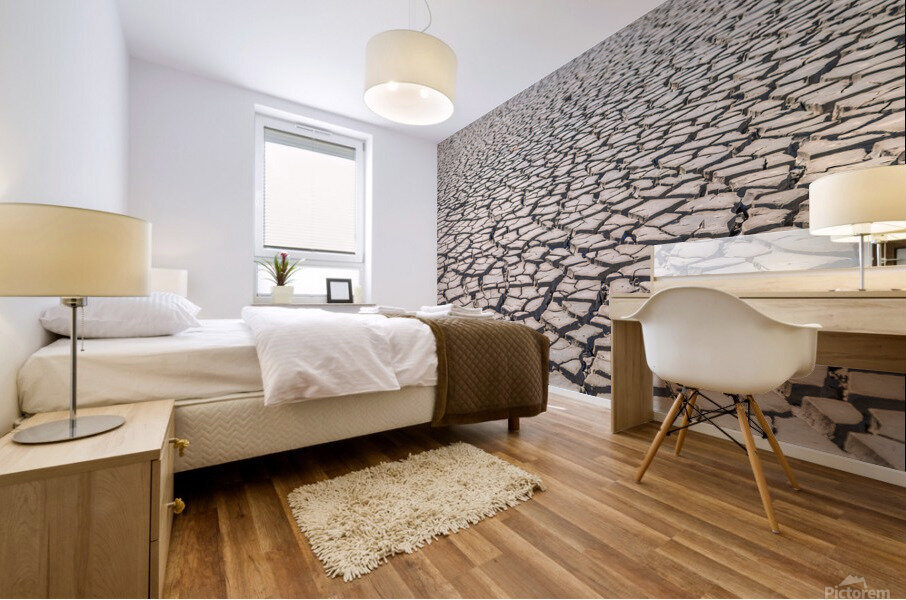 cracked clay soil  Mural print