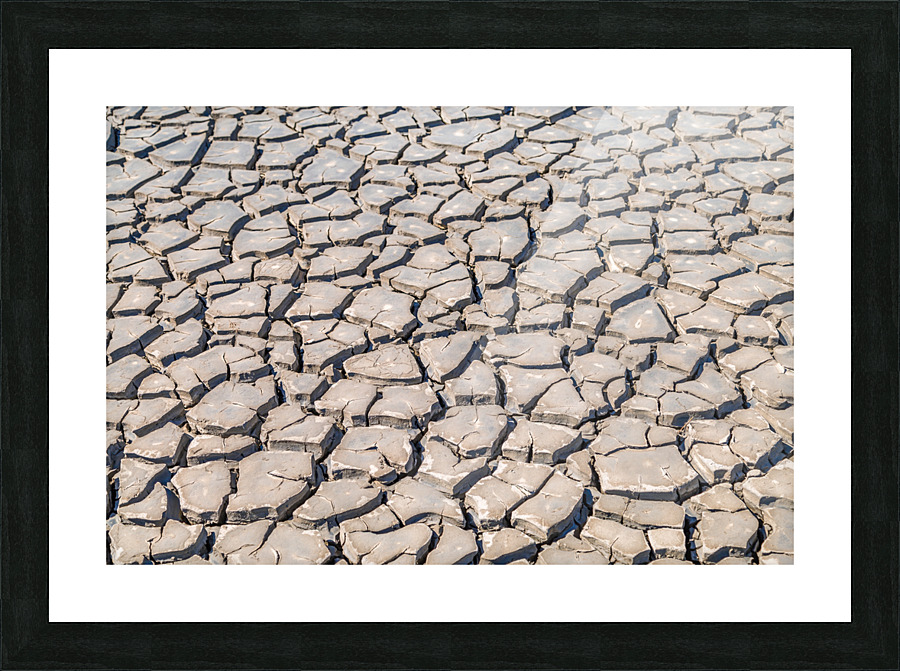 cracked clay soil Picture Frame print
