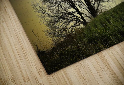 orange sunset on bare branches tree  Vivida Photo PC puzzle