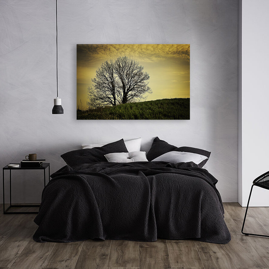 orange sunset on bare branches tree  Reproduction
