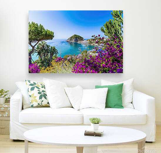 Ischia and Bougainvillea  by Vivida Photo PC