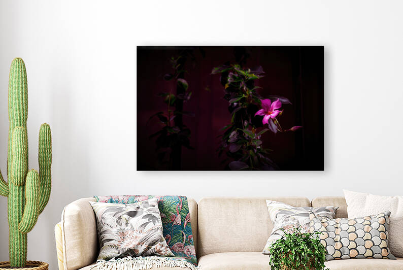 mandevilla flower  Reproduction