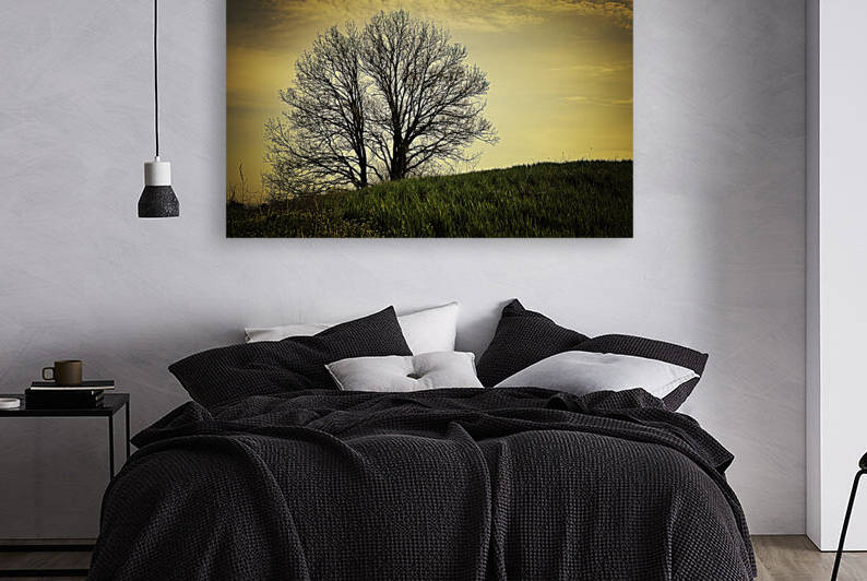orange sunset on bare branches tree  by Vivida Photo PC