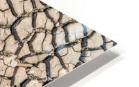  cracked clay soil HD Metal print