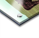 20190228 IMG_3567 2 Acrylic print