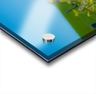 20190330 DSC_0592 Acrylic print