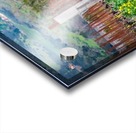 20190316 DSC_0242 Acrylic print