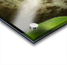 20181104 DSC 0225  3  Acrylic print