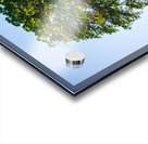 20190418 DSC 0043 Acrylic print