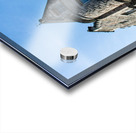 20190913 DSC 0179 Acrylic print