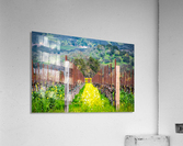 20190316 DSC_0242 Acrylic Print