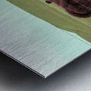 20190228 IMG_3567 2 Metal print