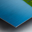 20190330 DSC_0592 Metal print