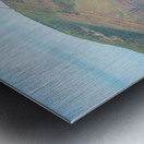 20190331 DSC_0647 Metal print