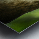 20181104 DSC 0225  3  Metal print