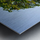 20190418 DSC 0043 Metal print