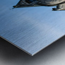 20190913 DSC 0179 Metal print