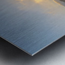 20200208 DSC 0345 Metal print