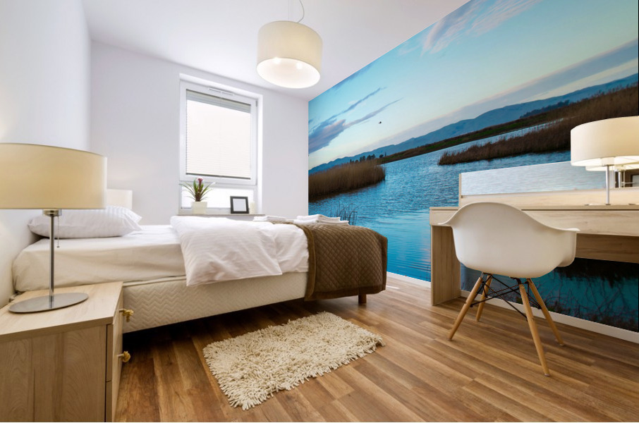 20190228 DSC 0066 2 Mural print