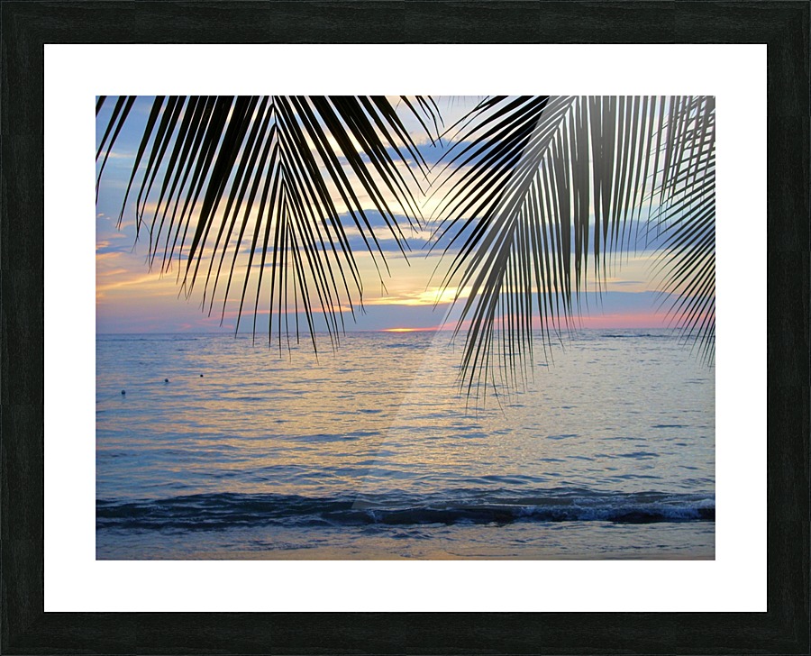 Tropical Sunset 4 Picture Frame print