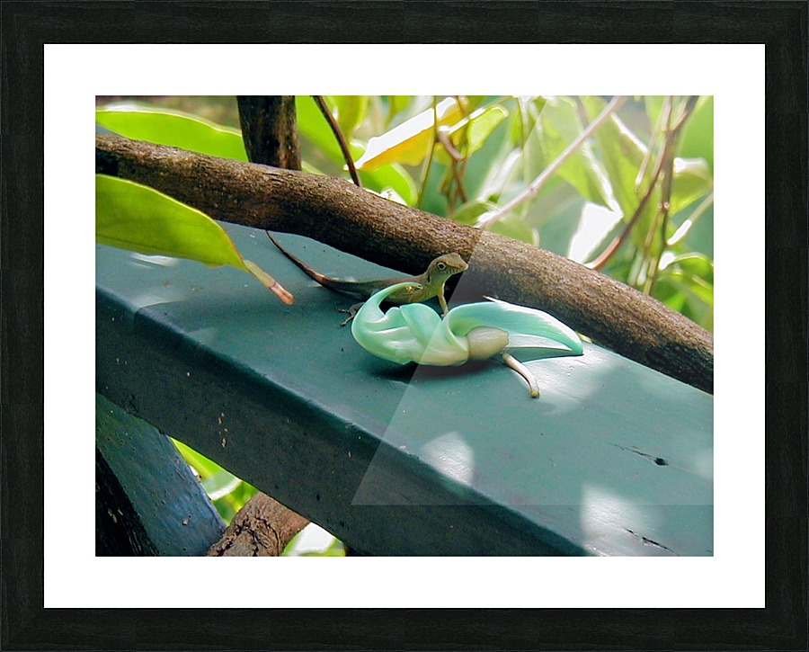 Animal38 Picture Frame print