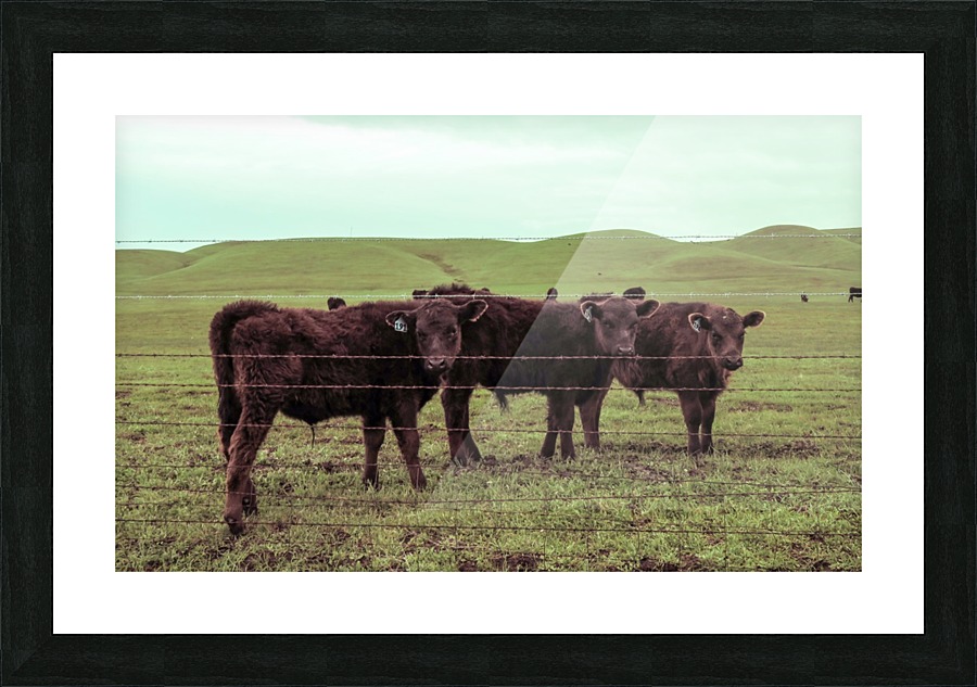 20190228 IMG_3567 2 Picture Frame print